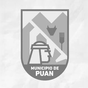 Municipio de Puán