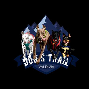 Dogs Trail Valdivia