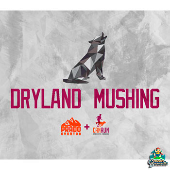 Dryland Mushing