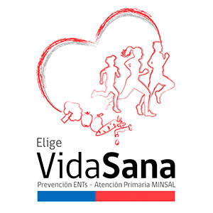 Programa Elige Vida Punta Arenas