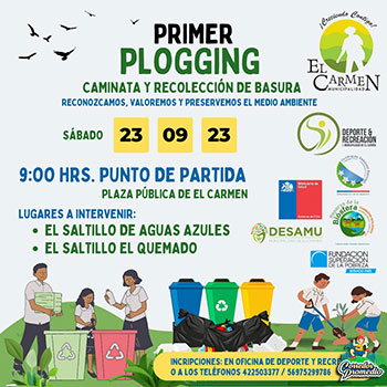 Plogging El Carmen