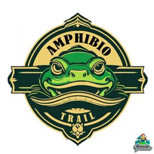 Amphibio Trail