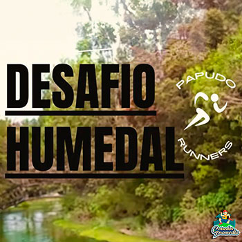 Desafío Humedal